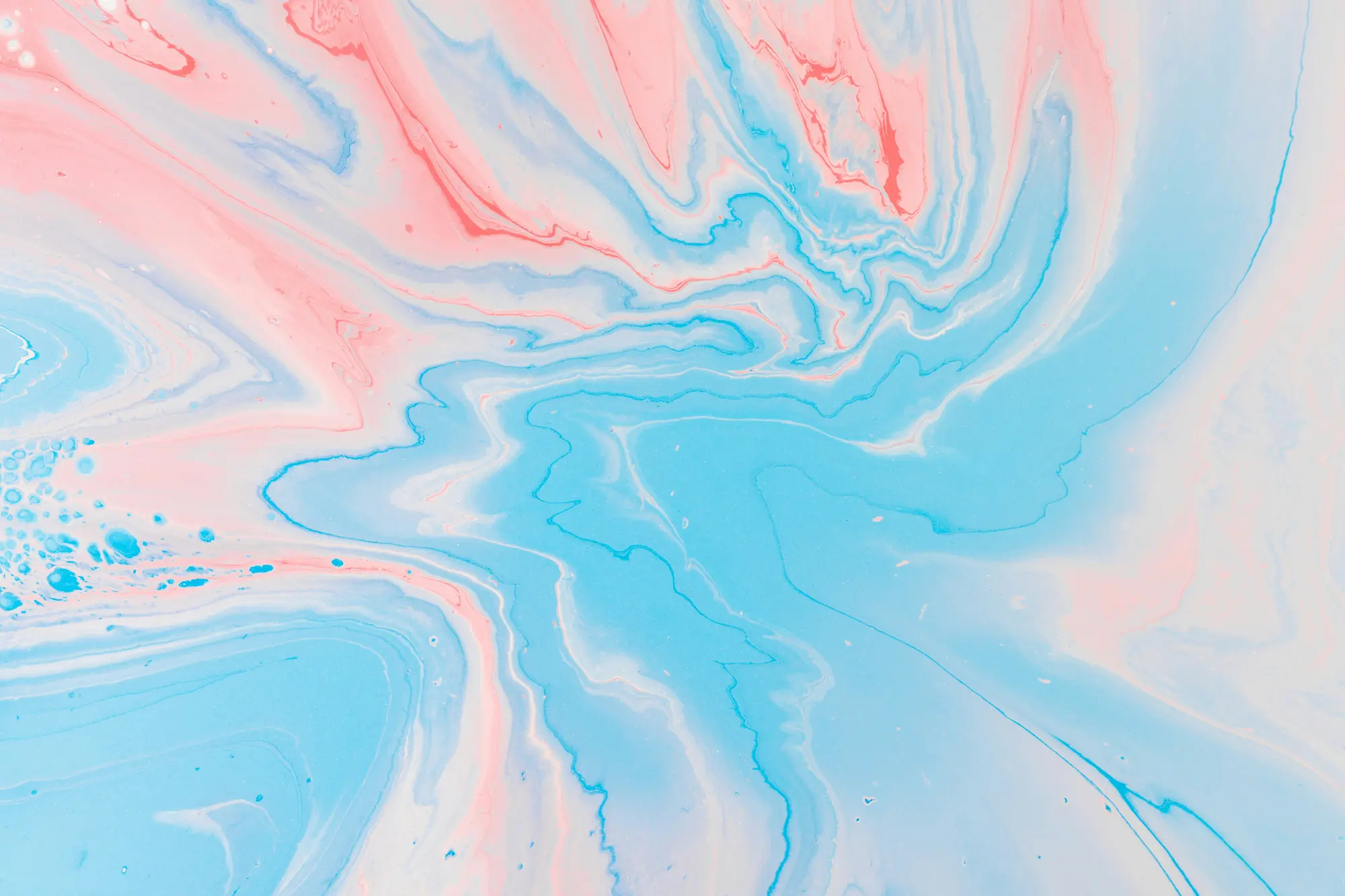 Cover image of 欢迎来到 Memo
